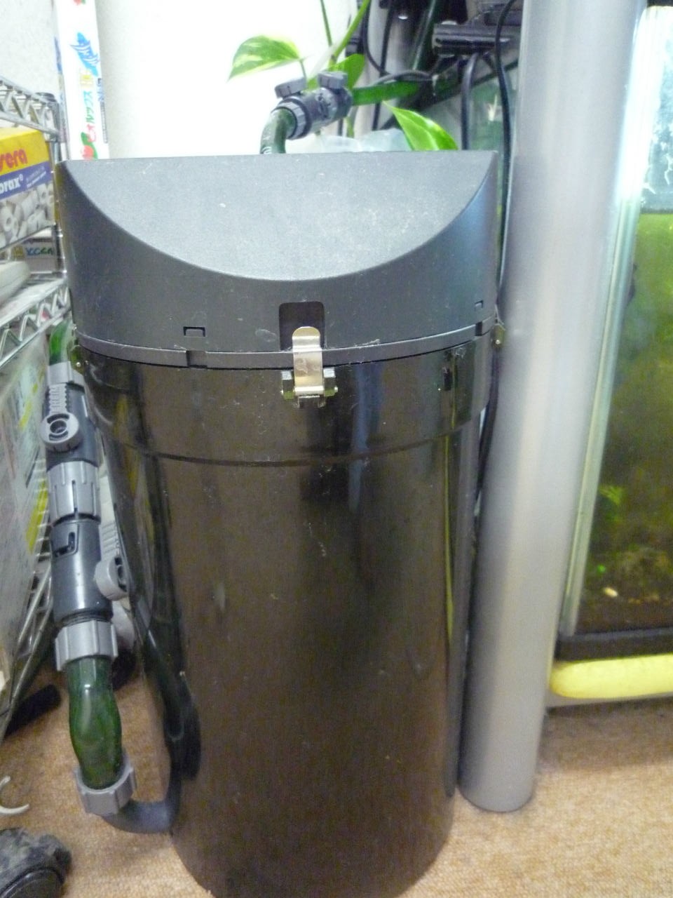 熱帯魚水槽に使う濾過器の特性 熱帯魚の飼育方法