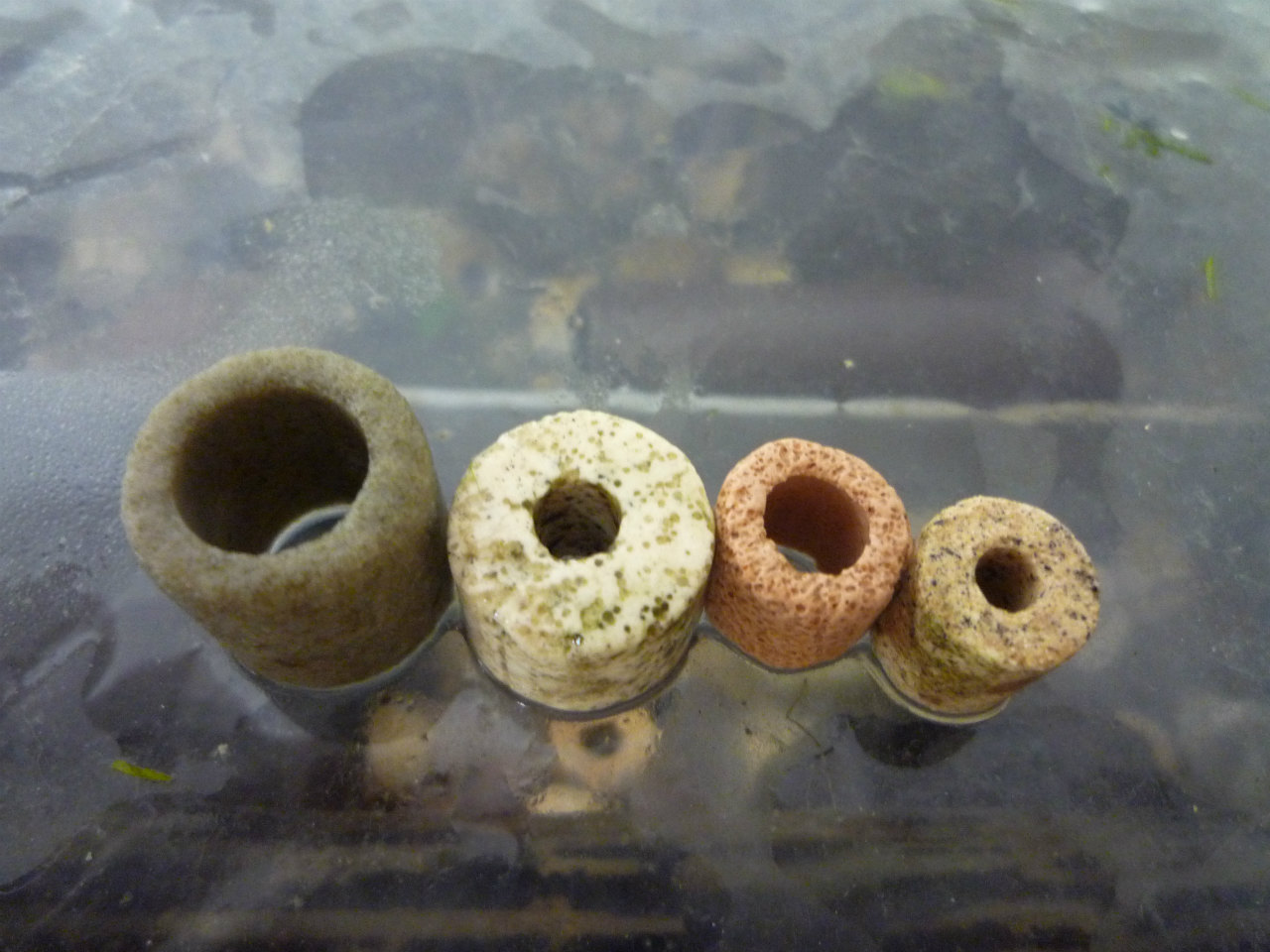 水槽のろ材について 熱帯魚の飼育方法